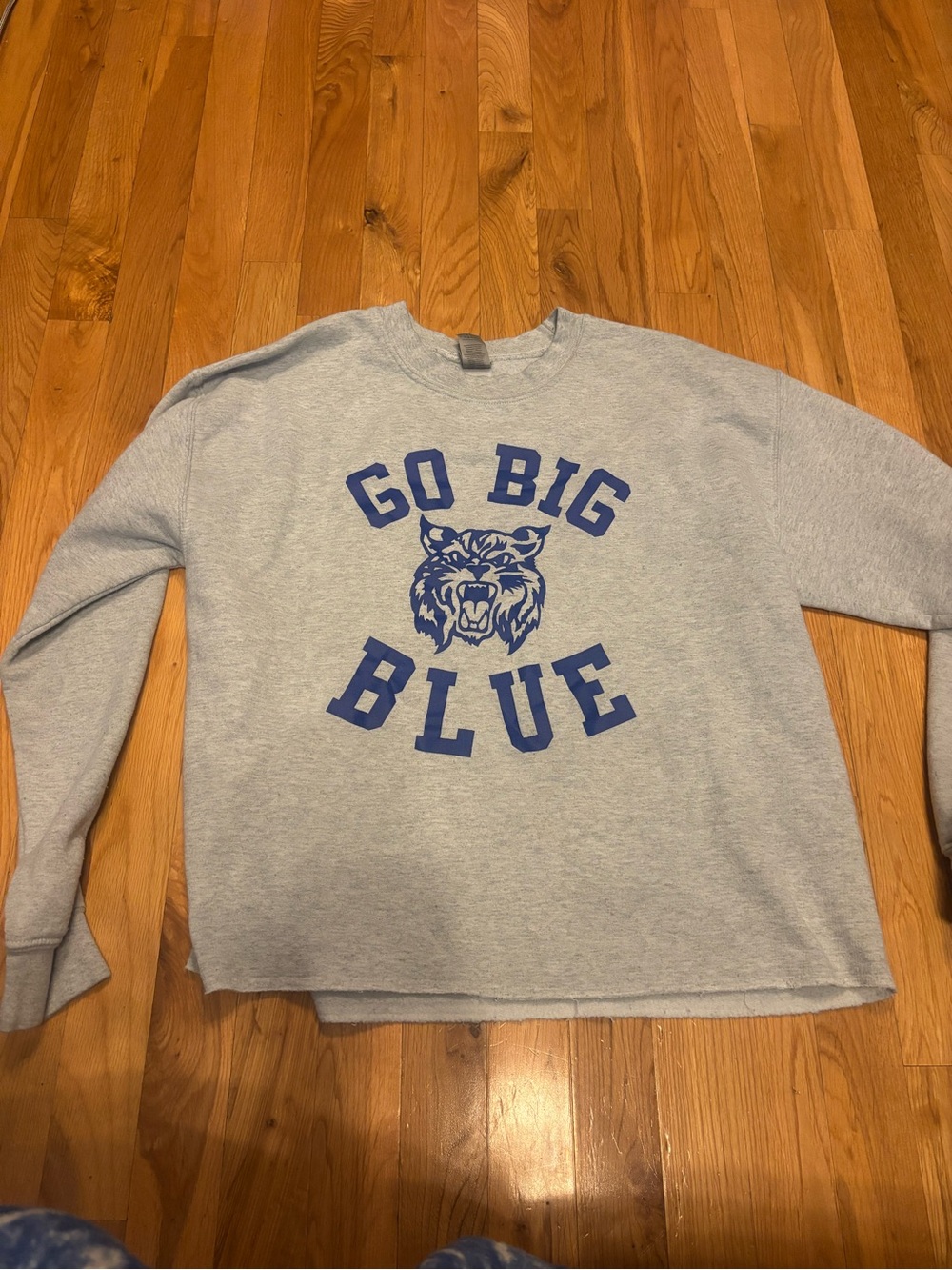 Gildan Heather Gray Crewneck Sweatshirt with Blue 'GO BIG BLUE' Print